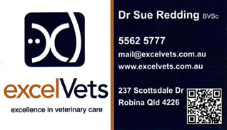 Excel vets